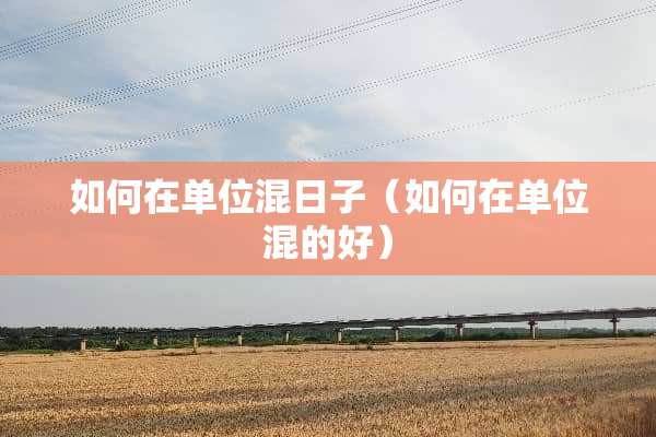 如何在单位混日子（如何在单位混的好）
