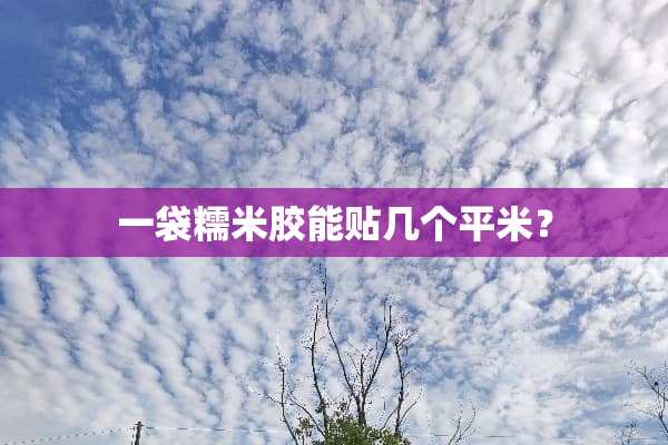 一袋糯米胶能贴几个平米？