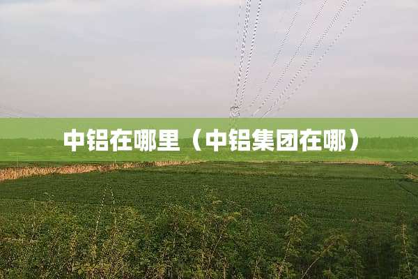 中铝在哪里（中铝集团在哪）
