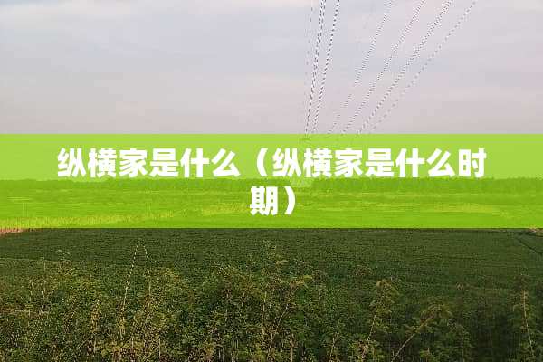 纵横家是什么（纵横家是什么时期）