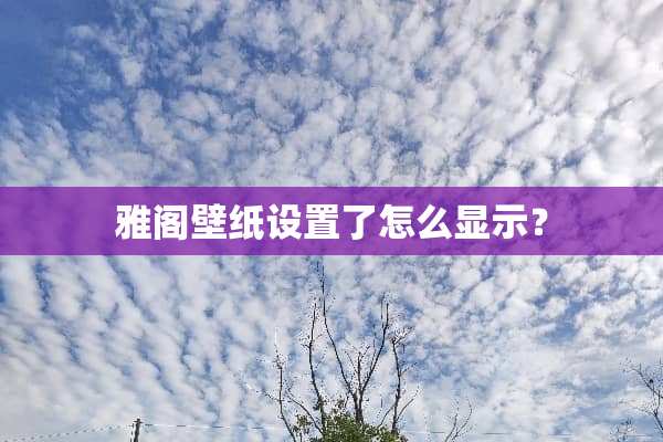 雅阁壁纸设置了怎么显示？