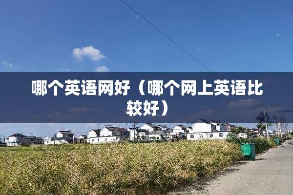 哪个英语网好（哪个网上英语比较好）