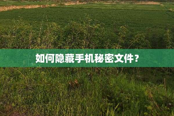 如何隐藏手机秘密文件？