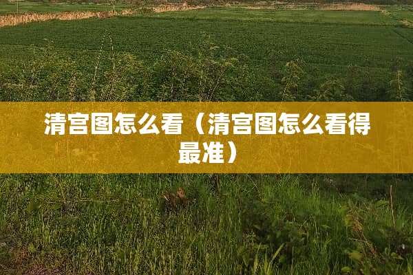 清宫图怎么看（清宫图怎么看得最准）