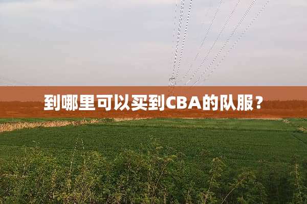 到哪里可以买到CBA的队服？