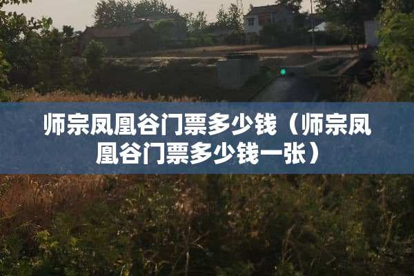 师宗凤凰谷门票多少钱（师宗凤凰谷门票多少钱一张）