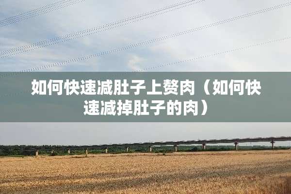 如何快速减肚子上赘肉（如何快速减掉肚子的肉）