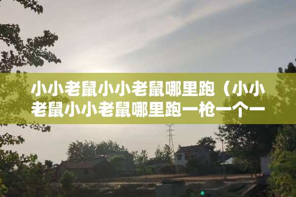 小小老鼠小小老鼠哪里跑（小小老鼠小小老鼠哪里跑一*一个一*一个消灭光）