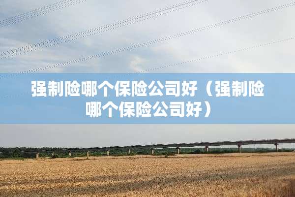 强制险哪个保险公司好（强制险哪个保险公司好）