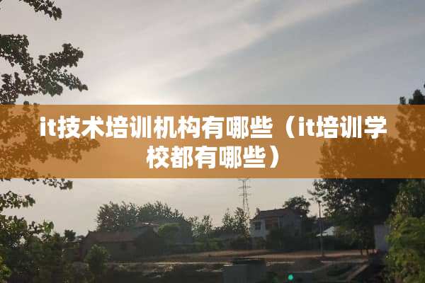 it技术培训机构有哪些（it培训学校都有哪些）
