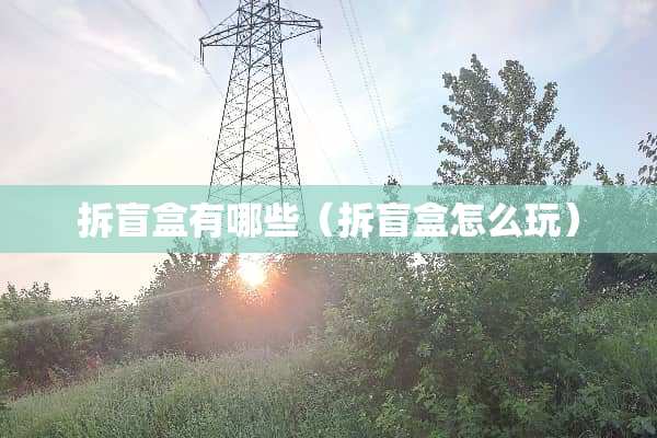 拆盲盒有哪些（拆盲盒怎么玩）