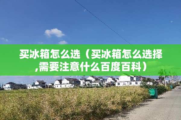 买冰箱怎么选（买冰箱怎么选择,需要注意什么百度百科）