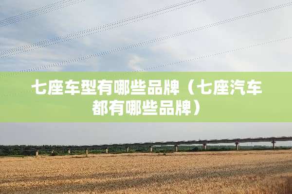 七座车型有哪些品牌（七座汽车都有哪些品牌）