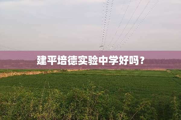 建平培德实验中学好吗？