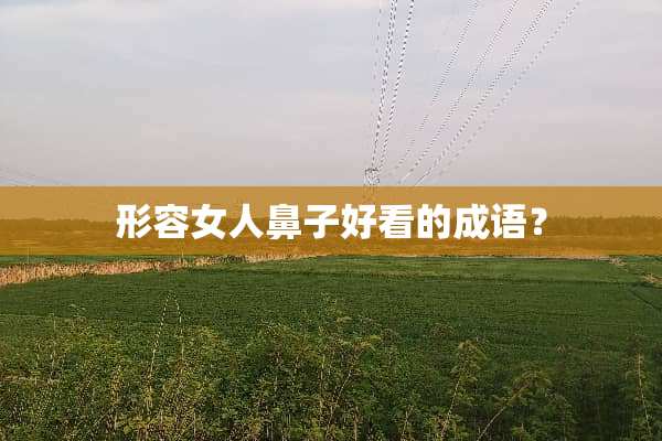形容女人鼻子好看的成语？