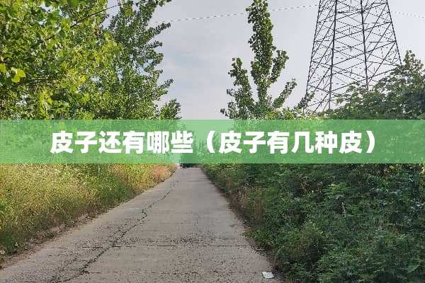 皮子还有哪些（皮子有几种皮）