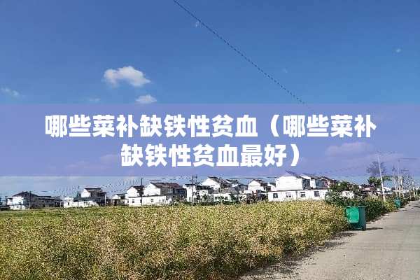 哪些菜补缺铁性贫血（哪些菜补缺铁性贫血最好）