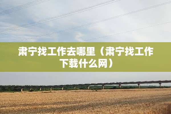 肃宁找工作去哪里（肃宁找工作下载什么网）
