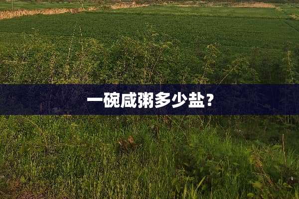 一碗咸粥多少盐？