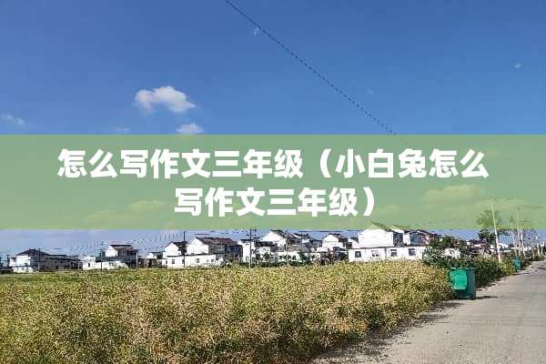 怎么写作文三年级（小白兔怎么写作文三年级）