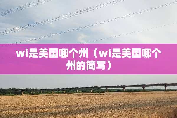 wi是美国哪个州（wi是美国哪个州的简写）