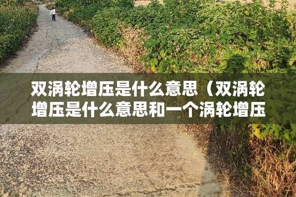 双涡轮增压是什么意思（双涡轮增压是什么意思和一个涡轮增压有什么区别）