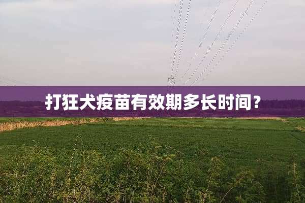 打狂犬**有效期多长时间？