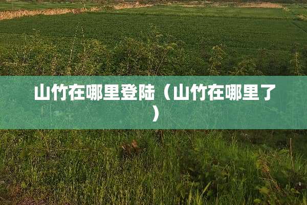 山竹在哪里**（山竹在哪里了）