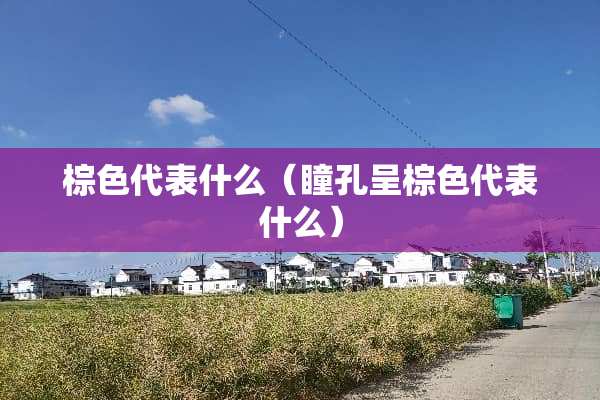 棕色代表什么（瞳孔呈棕色代表什么）