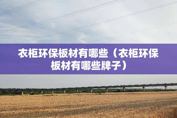 衣柜环保板材有哪些（衣柜环保板材有哪些牌子）