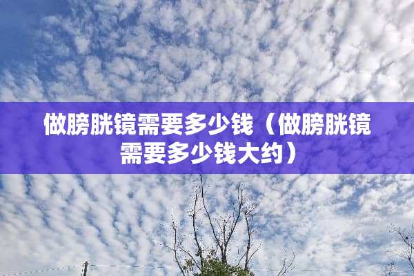 做膀胱镜需要多少钱（做膀胱镜需要多少钱大约）
