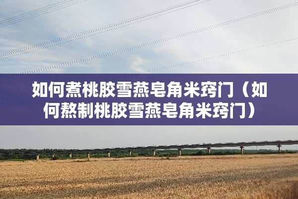 如何煮桃胶雪燕皂角米窍门（如何熬制桃胶雪燕皂角米窍门）