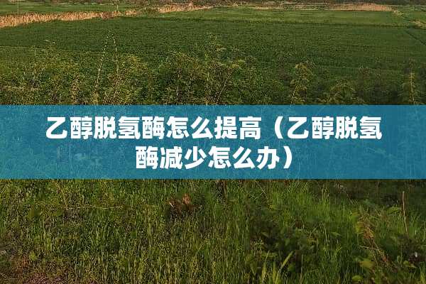 乙醇脱氢酶怎么提高（乙醇脱氢酶减少怎么办）