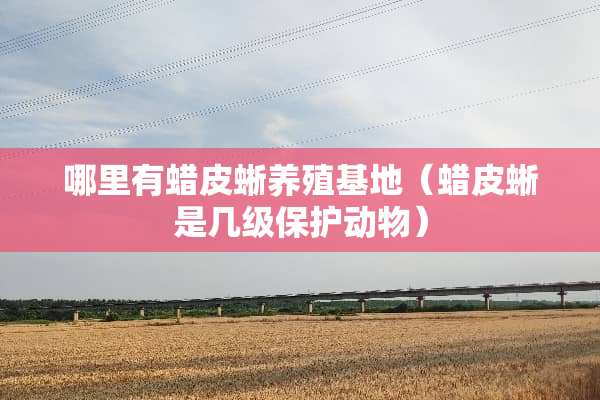 哪里有蜡皮蜥养殖基地（蜡皮蜥是几级保护动物）