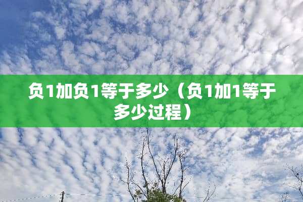 负1加负1等于多少（负1加1等于多少过程）