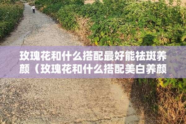 玫瑰花和什么搭配最好能祛斑养颜（玫瑰花和什么搭配美白养颜）