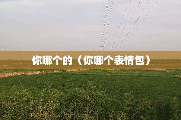 你哪个的（你哪个表情包）