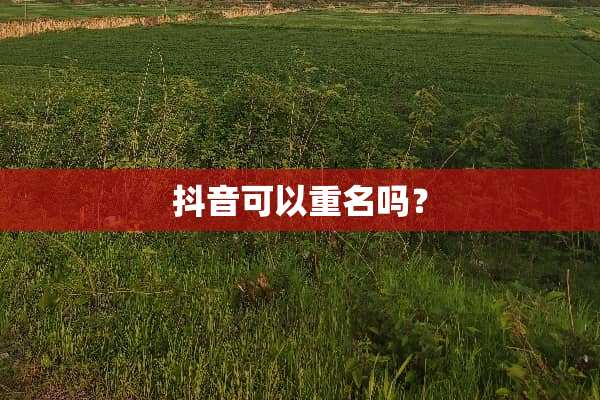 抖音可以重名吗？