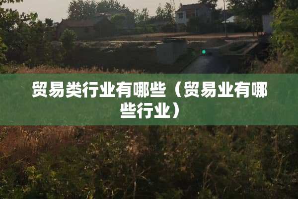 贸易类行业有哪些（贸易业有哪些行业）