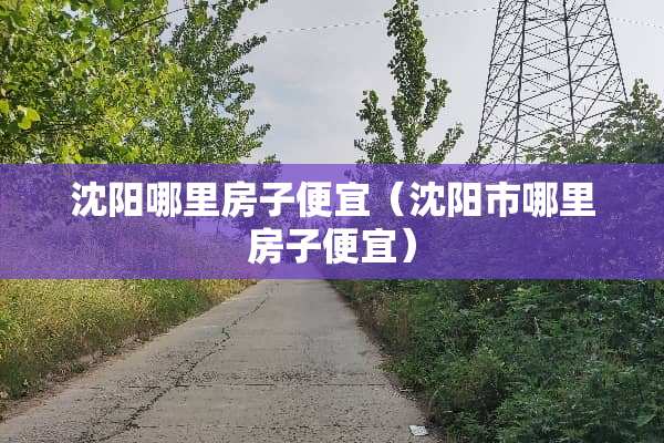 沈阳哪里房子便宜（沈阳市哪里房子便宜）