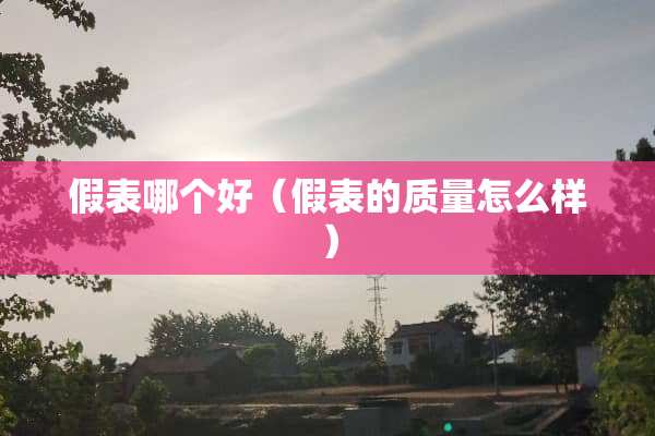 假表哪个好（假表的质量怎么样）