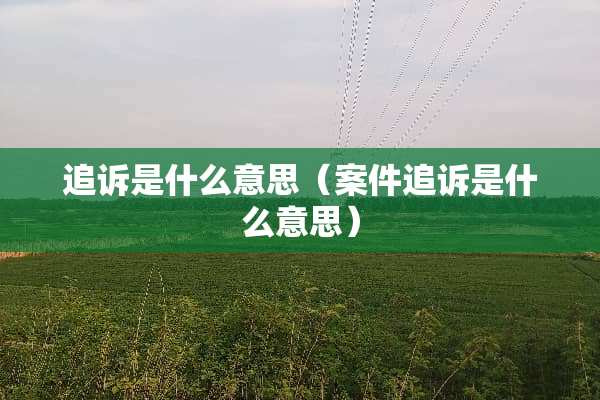 追诉是什么意思（案件追诉是什么意思）
