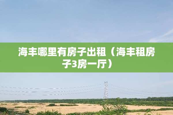海丰哪里有房子出租（海丰租房子3房一厅）