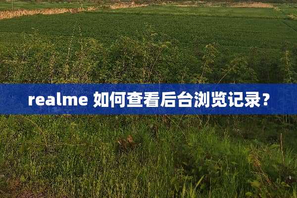 realme 如何查看后台浏览记录？