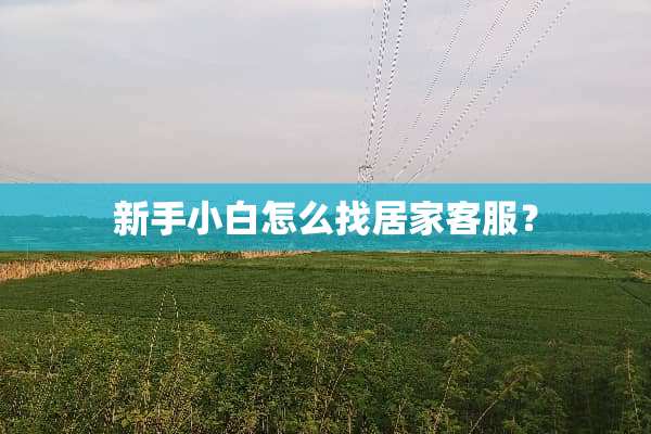 新手小白怎么找居家客服？