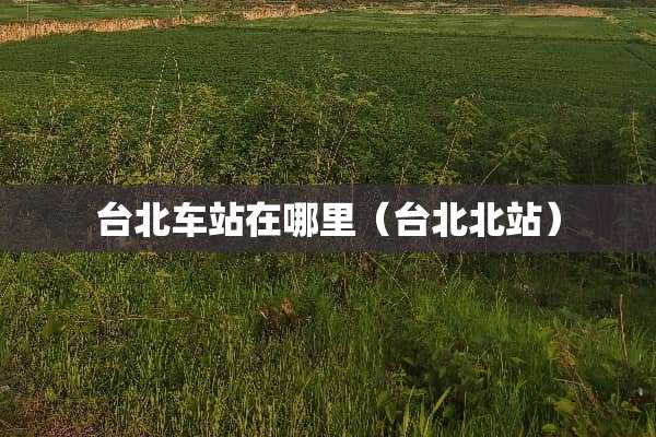 台北车站在哪里（台北北站）
