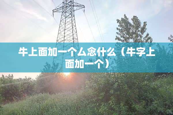 牛上面加一个厶念什么（牛字上面加一个）
