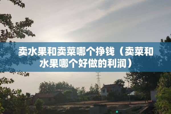 卖水果和卖菜哪个挣钱（卖菜和水果哪个好做的利润）