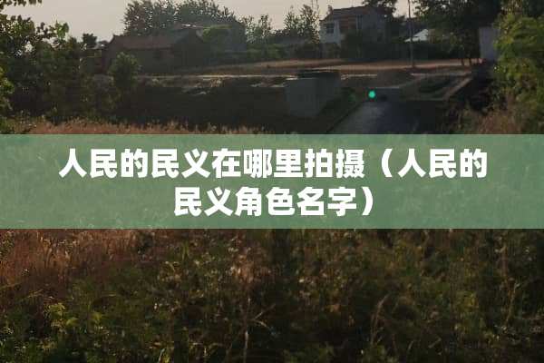 人民的民义在哪里拍摄（人民的民义角色名字）