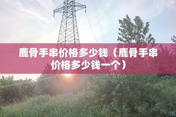 鹿骨手串价格多少钱（鹿骨手串价格多少钱一个）